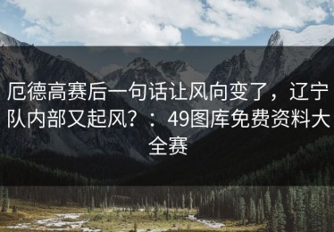 厄德高赛后一句话让风向变了，辽宁队内部又起风？：49图库免费资料大全赛