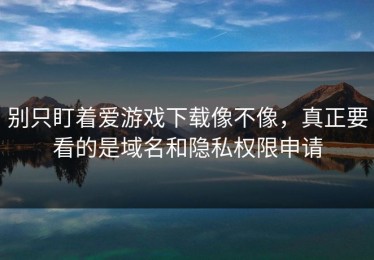 别只盯着爱游戏下载像不像，真正要看的是域名和隐私权限申请
