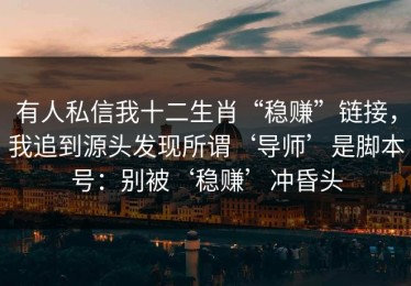 有人私信我十二生肖“稳赚”链接，我追到源头发现所谓‘导师’是脚本号：别被‘稳赚’冲昏头