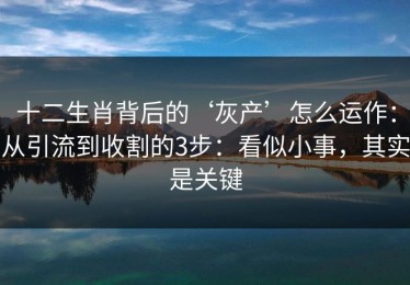 十二生肖背后的‘灰产’怎么运作：从引流到收割的3步：看似小事，其实是关键