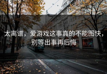 太离谱，爱游戏这事真的不能图快，别等出事再后悔