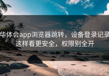 华体会app浏览器跳转，设备登录记录这样看更安全，权限别全开