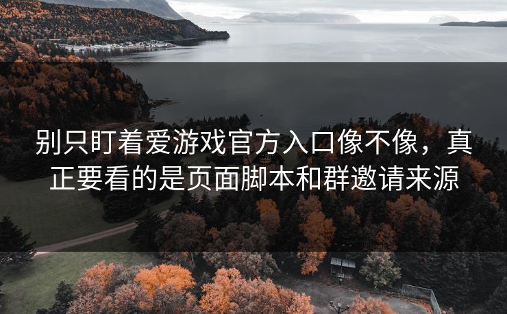 别只盯着爱游戏官方入口像不像，真正要看的是页面脚本和群邀请来源