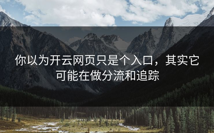 你以为开云网页只是个入口,其实它可能在做分流和追踪 你以为开云网页只是个入口,其实它可能在做分流和追踪